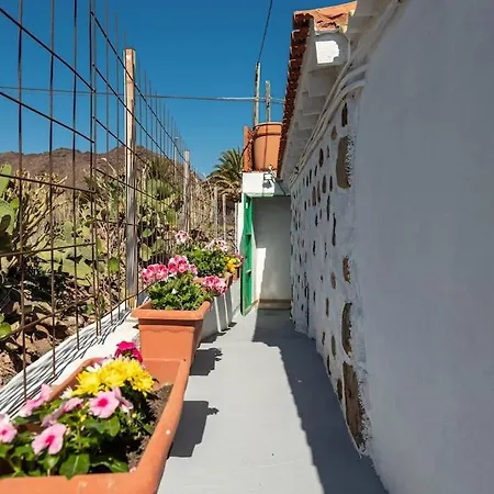 Ca' Pepita Y Jose Holiday home El Albercon